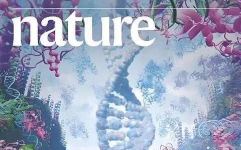 Nature是怎么来的?
